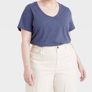 Women's Plus Size Short Sleeve V-Neck T-Shirt - Universal Thread